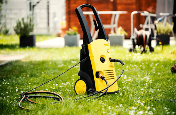 Best Roof Washing  in Perry, MI